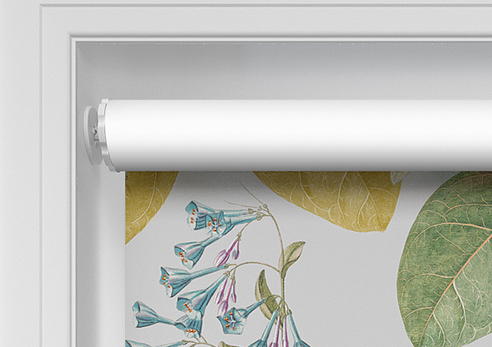 Parrot, Citrine - Twist&Fit Roller Blind - Image 10